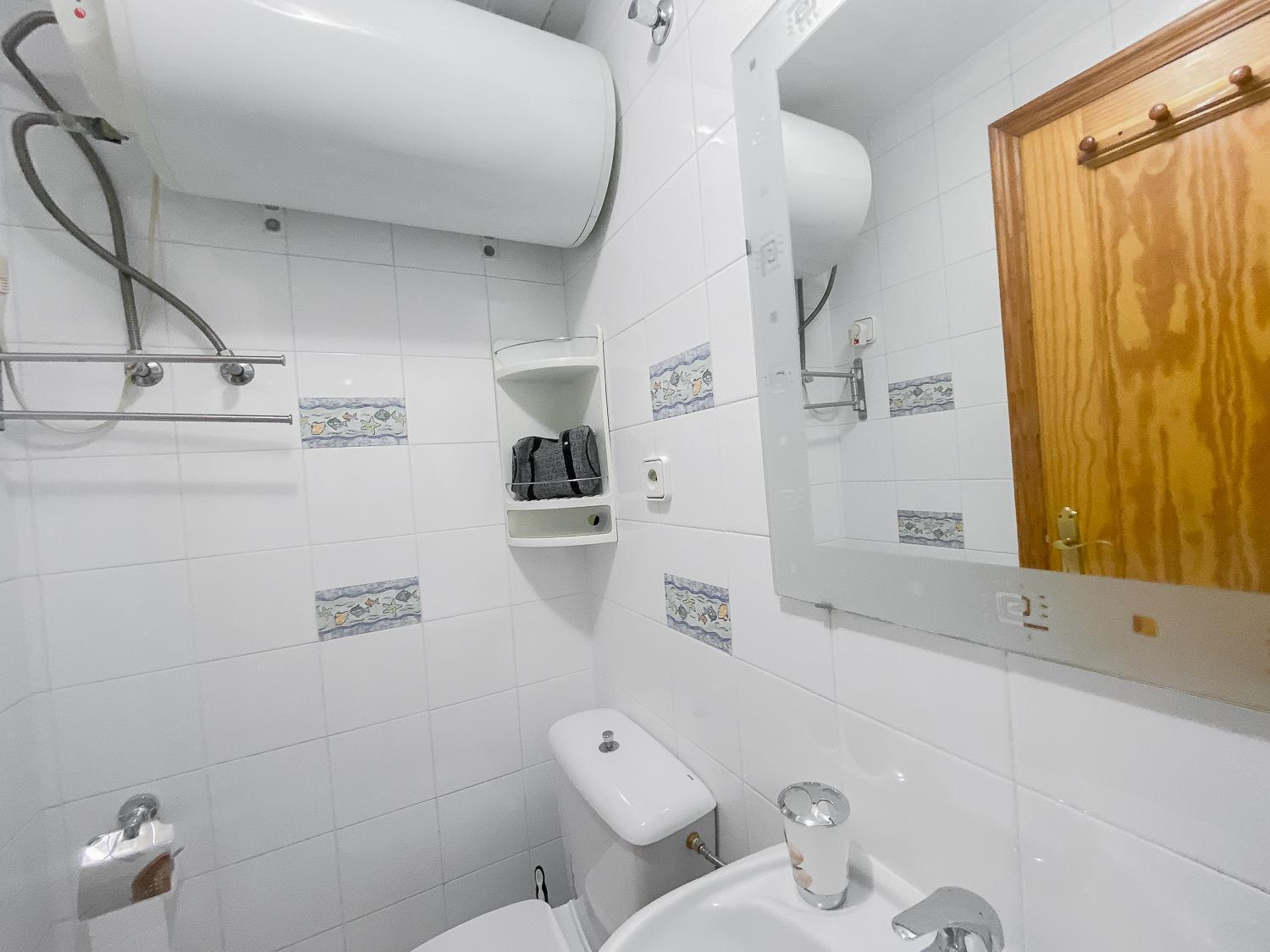 Apartament Estudio Plaza San Cristobal Alicante Zewnętrze zdjęcie